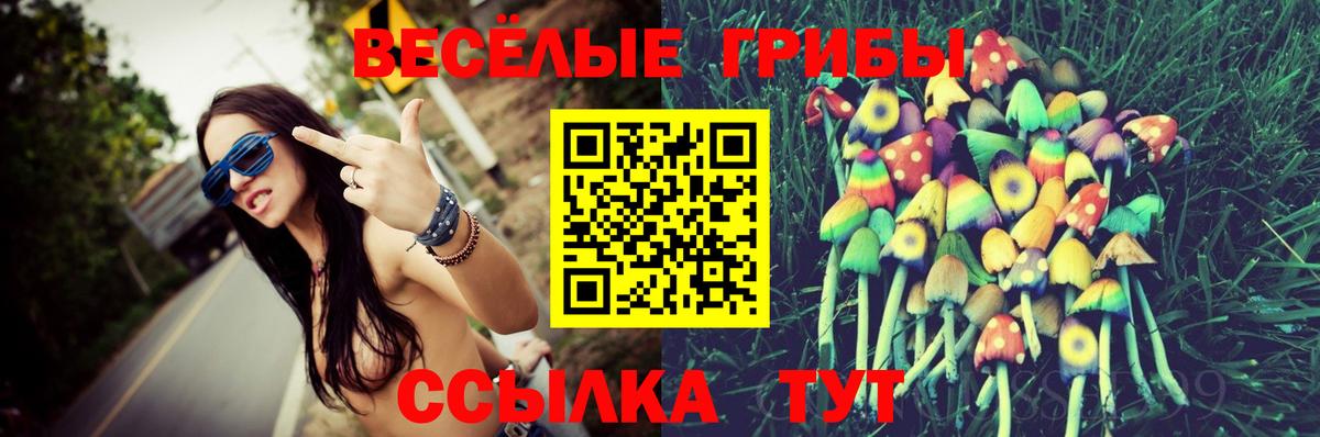 Псилоцибиновые грибы мицелий Усинск